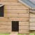 Kippenhok Inrichten: Bied Uw Kippen Een Uitstekende Huisvesting